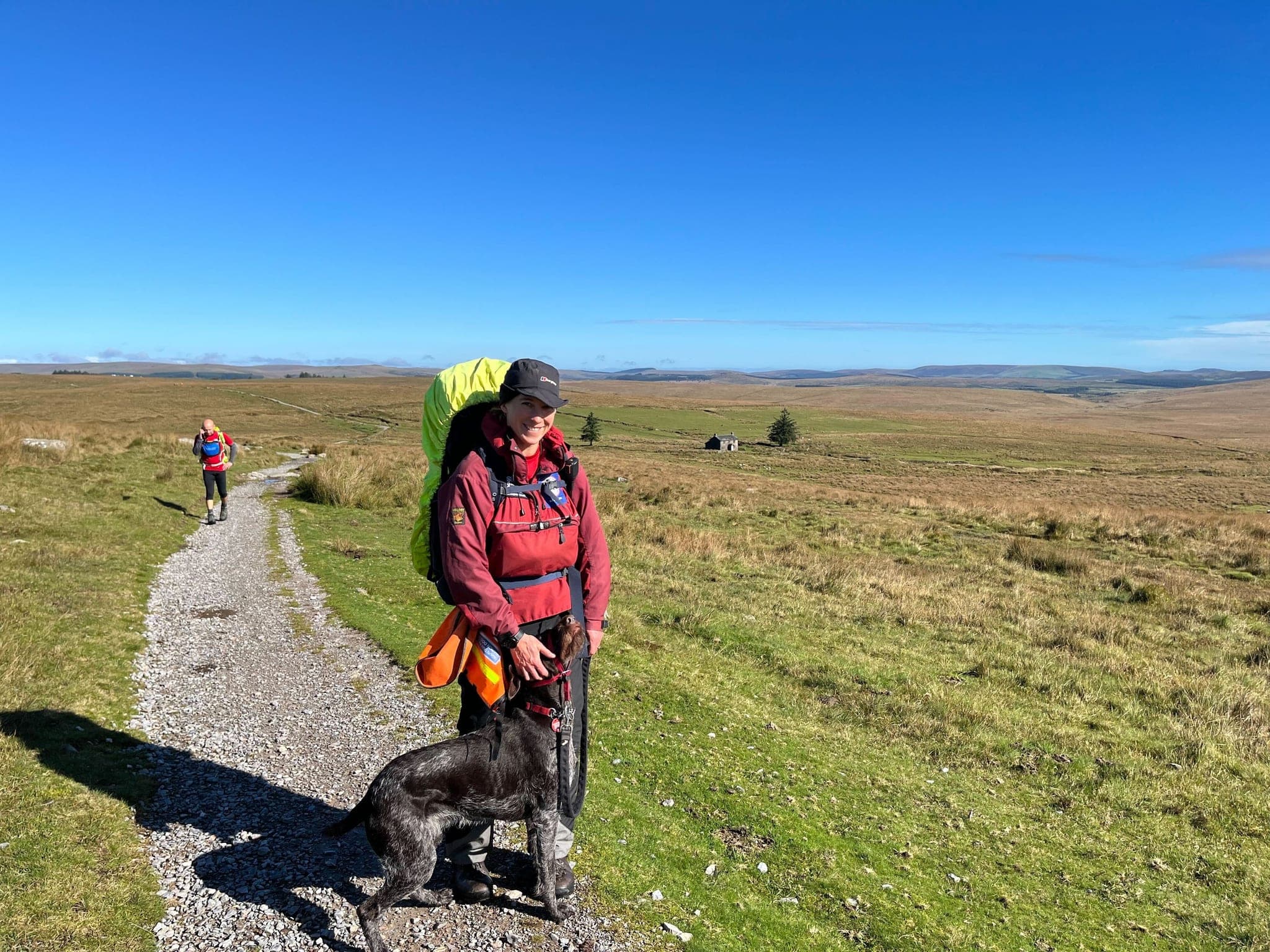 Search dog handler working with their dog