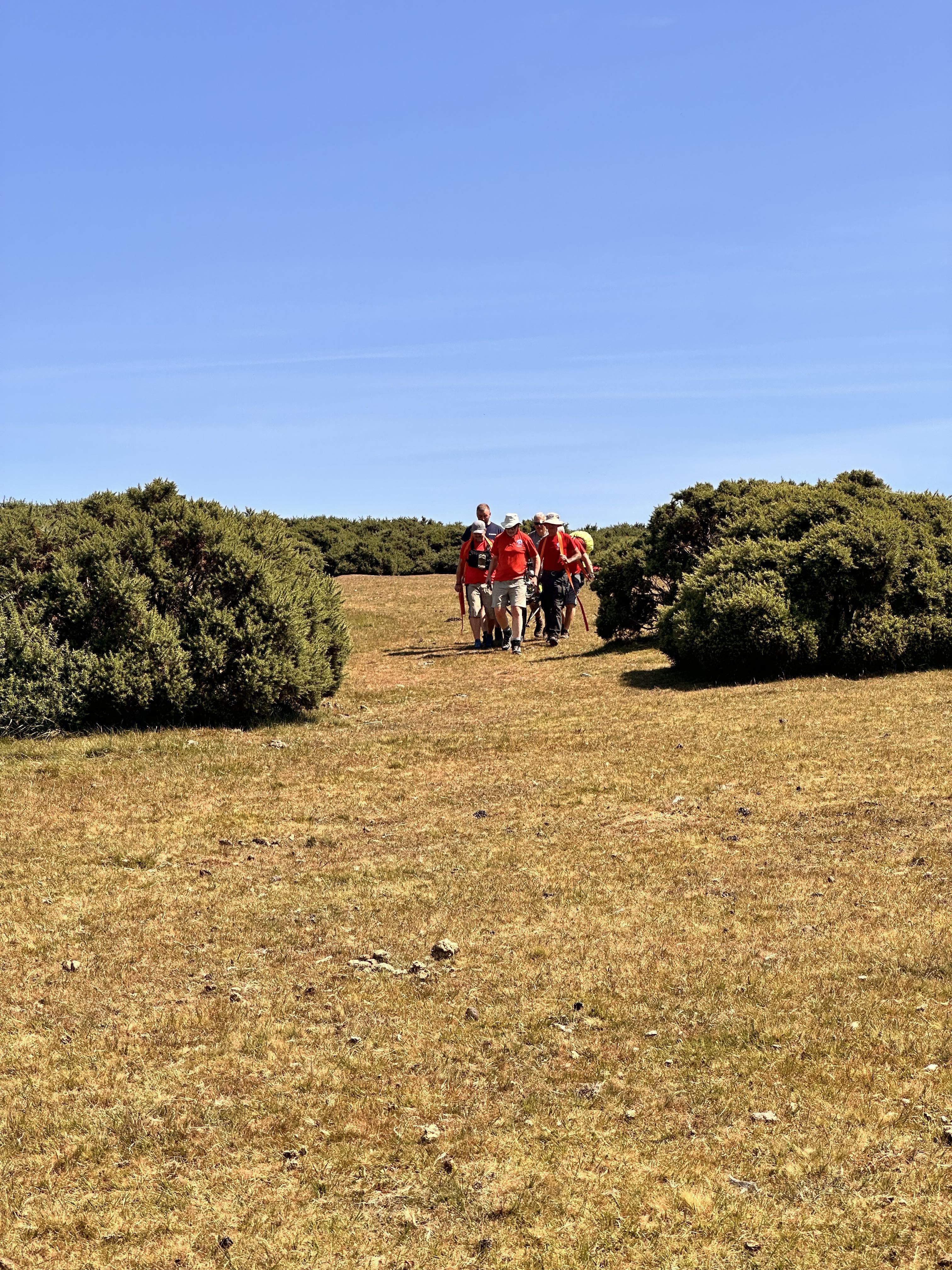 The team carry the casualty in our stretcher